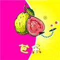 1024g抖音图标的安装包下载大全
